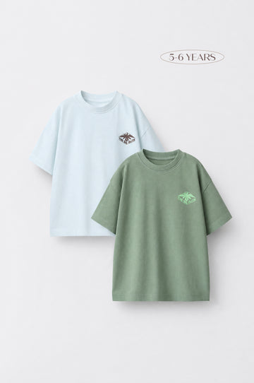 Boys' 2-Pack Oversized Cotton T-Shirt — Ice Blue & Sage Green