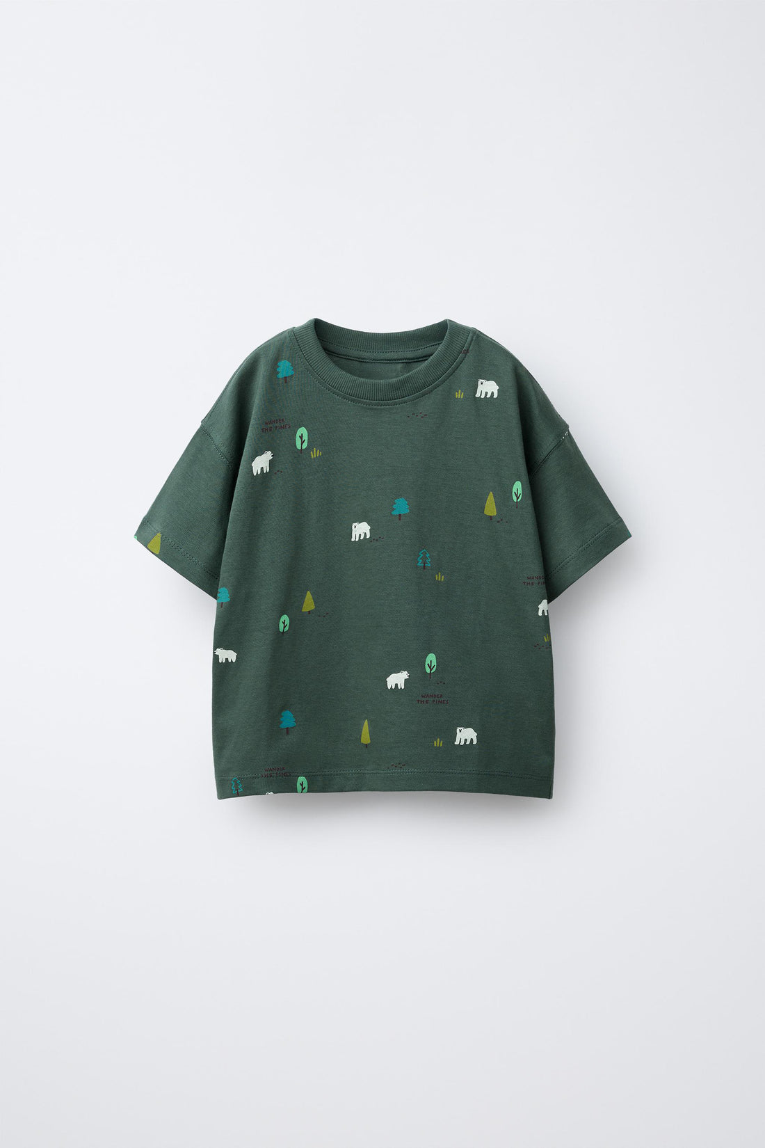 Boys' 2-Pack Oversized Cotton T-Shirt — Mint Green & Forest Green