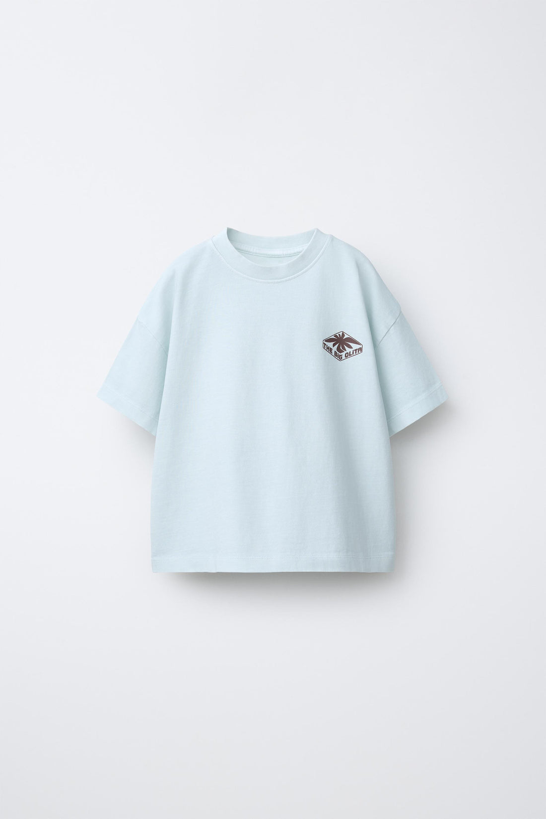 Boys' 2-Pack Oversized Cotton T-Shirt — Ice Blue & Sage Green