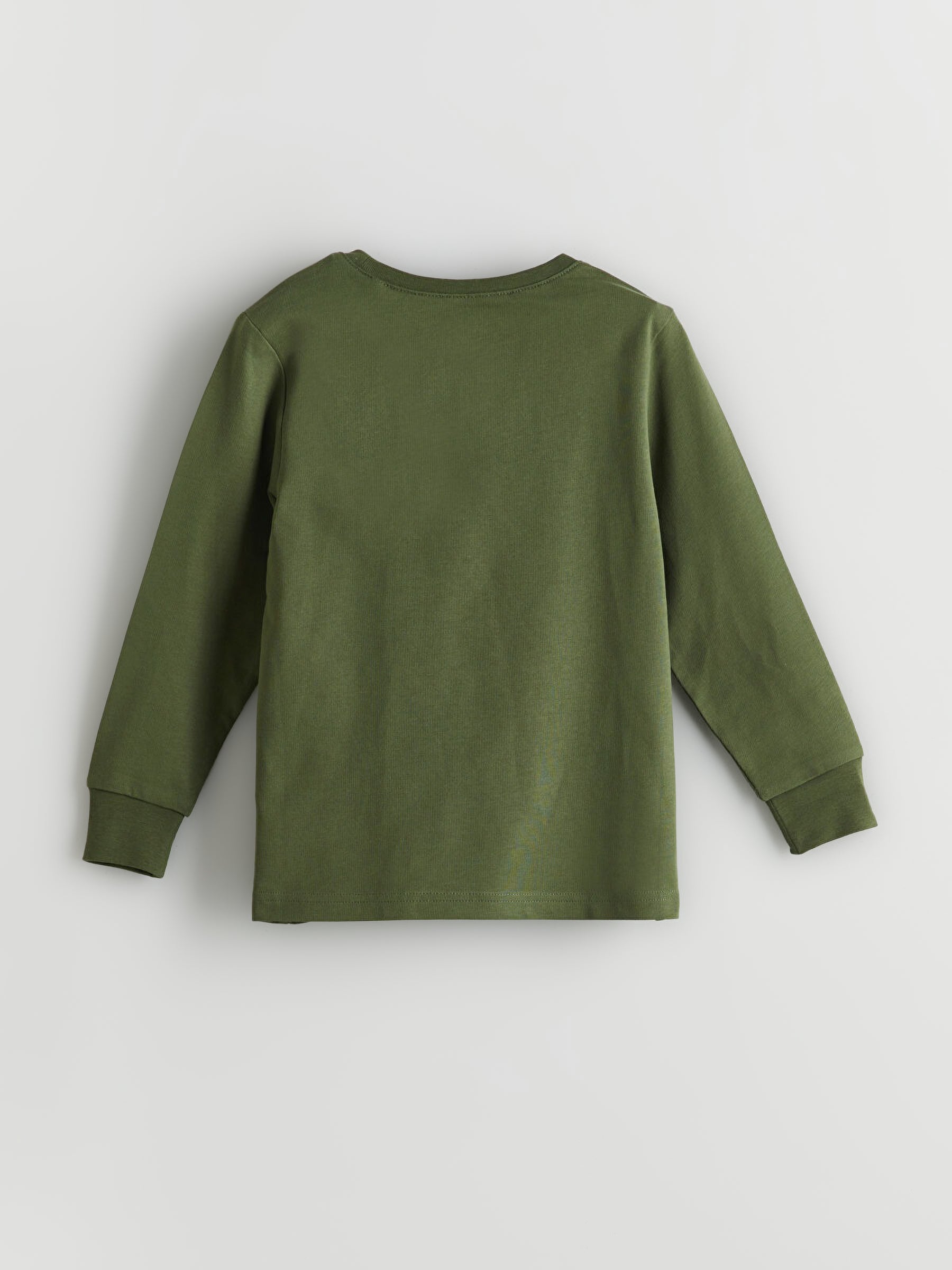 Boy's Olive Green Long Sleeve T-Shirt – New York Tiger Graphic