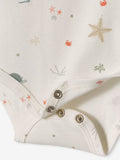 Pack of 5 Half Sleeve Cotton Bodysuit  close