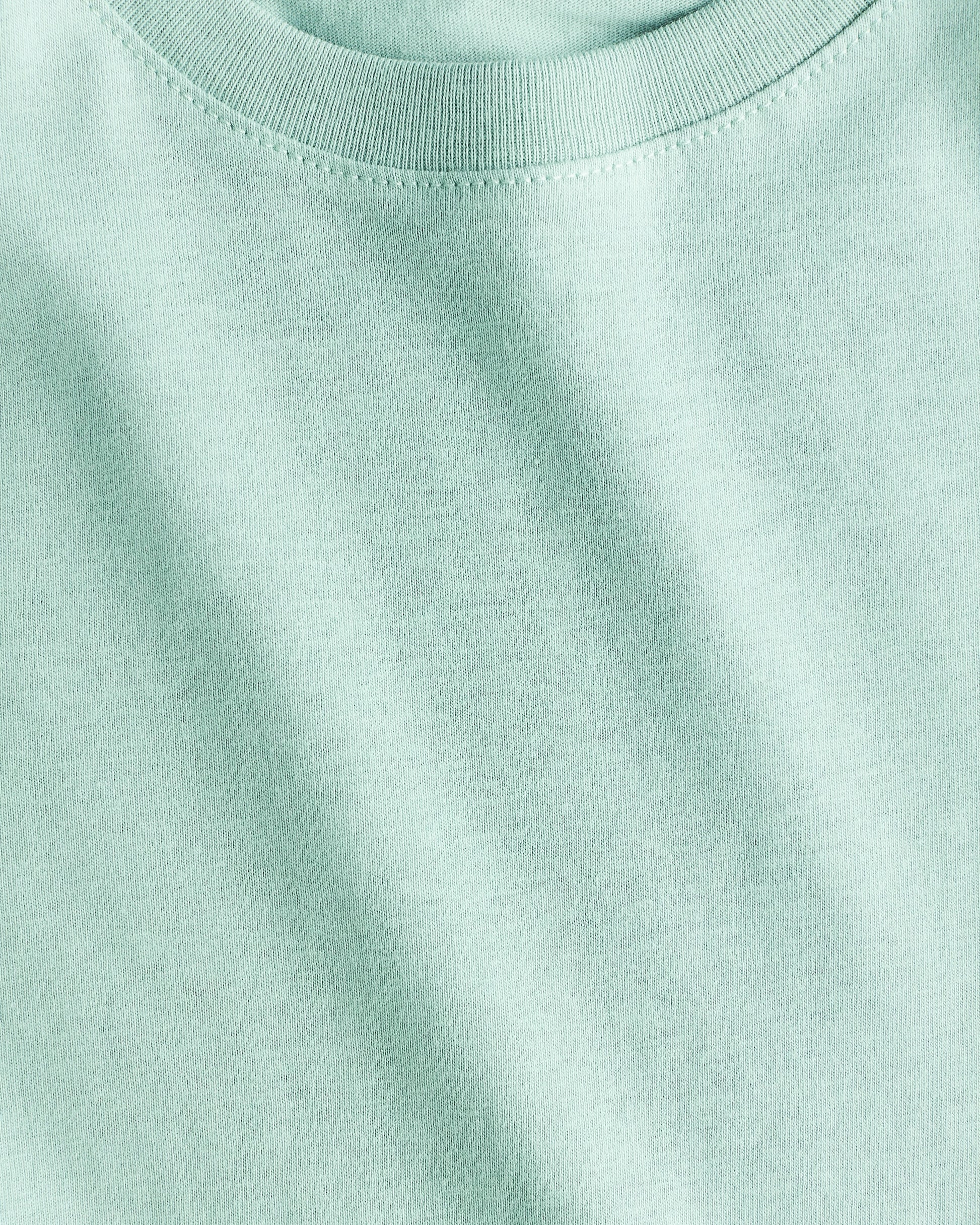 boys regular fit cotton tshirt mint colour close
