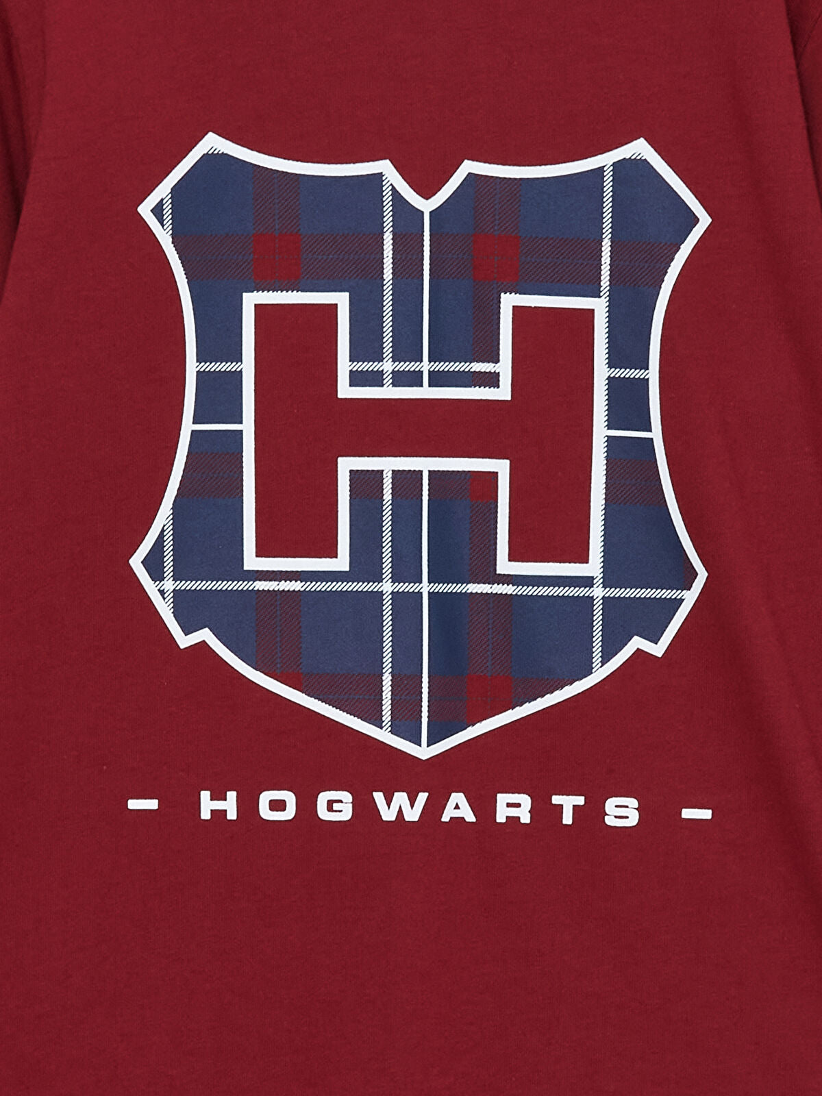 Boys Full sleeve cotton t-shirt with a hogwarts print at front