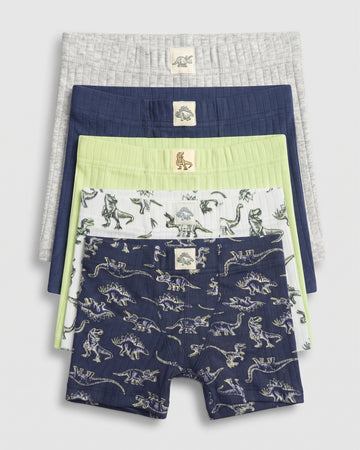  Pack of 5 boys' ribbed boxer briefs laid flat — grey marl, navy, lime green, white dino print, and navy dino print with dinosaur label patches