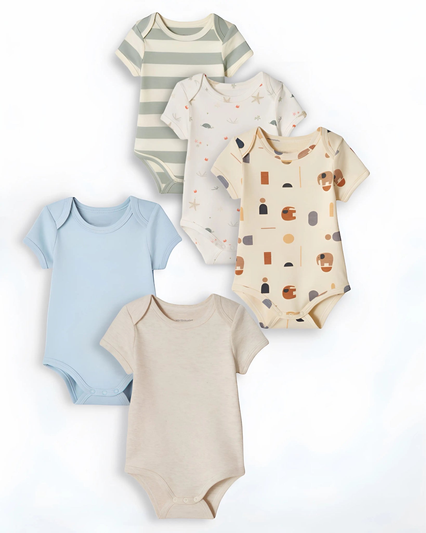 Pack of 3/5 half sleeve assorted cotton bodysuit Ptex